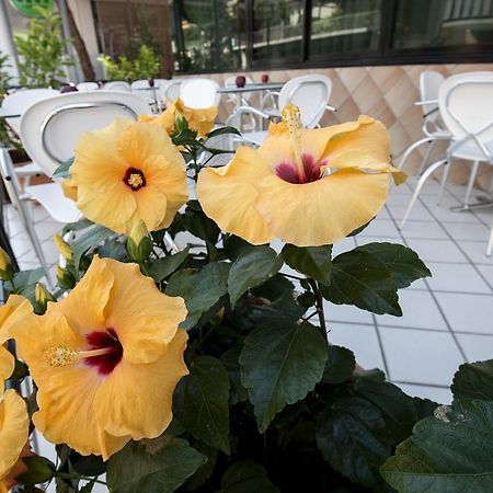Hotel Scarlet Rimini Exterior foto